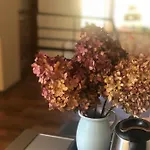 Homestay szállás Urocze Muszyna