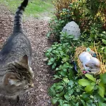 Urocze Homestay szállás *