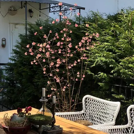 Homestay Urocze