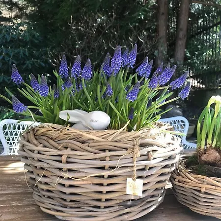 Urocze בית אירוח