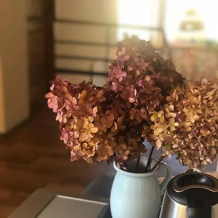 منزل للإقامة Urocze موشينا