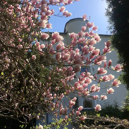 Urocze * מוז'ינה