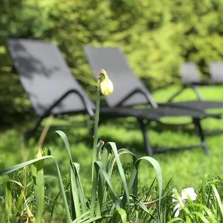 Urocze Homestay Muszyna
