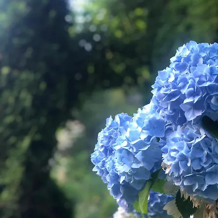 בית אירוח Urocze מוז'ינה