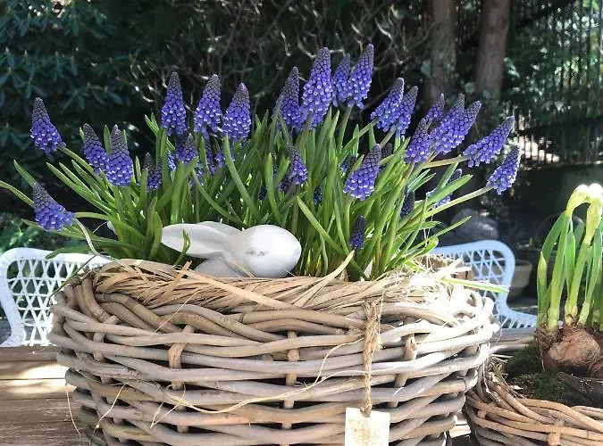 Urocze בית אירוח