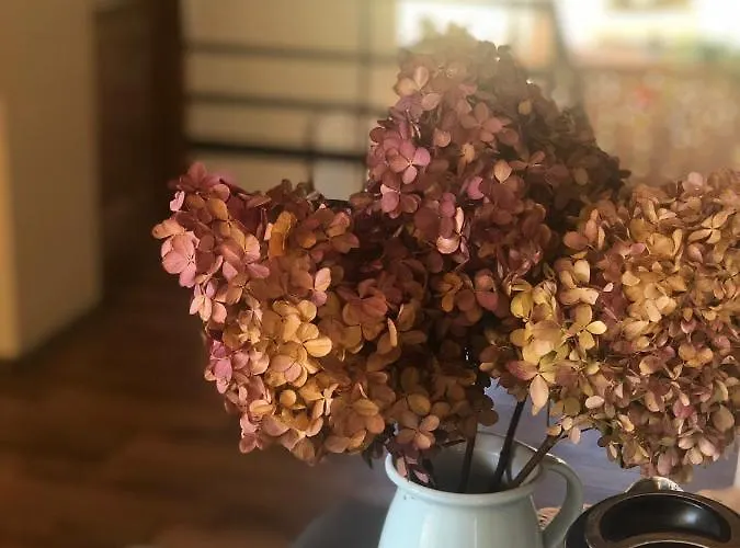 Alloggio in famiglia Urocze Muszyna