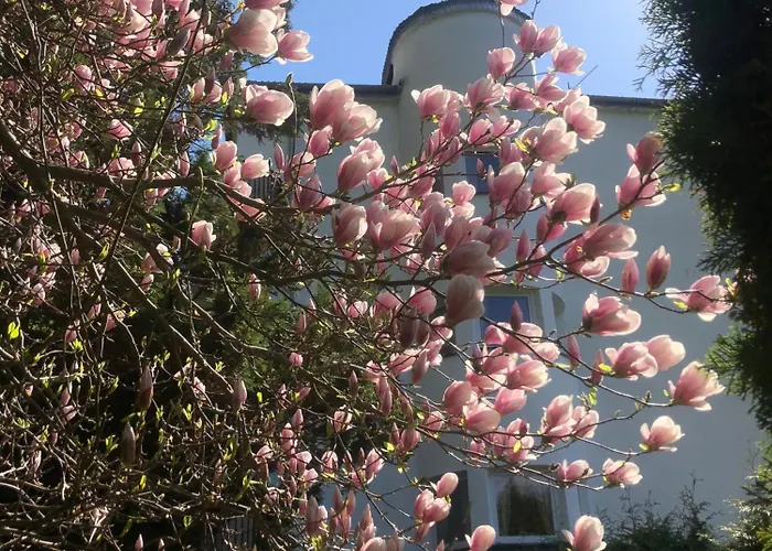 Urocze * מוז'ינה