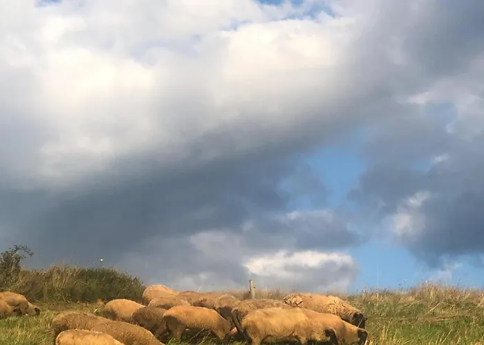 בית אירוח Urocze