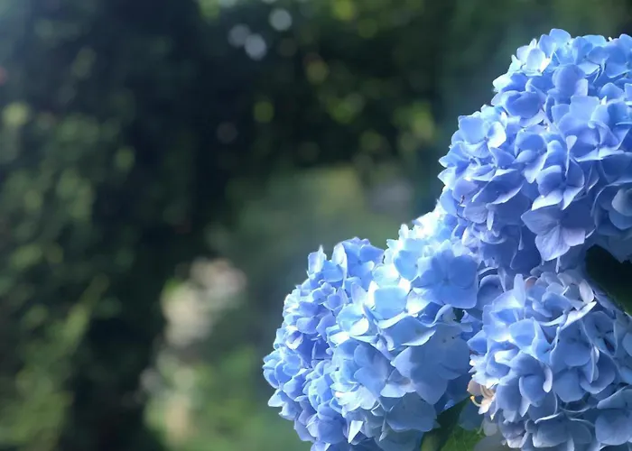 בית אירוח Urocze מוז'ינה